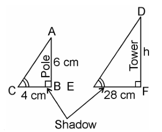 Ncert solutions class 10 chapter 6-26